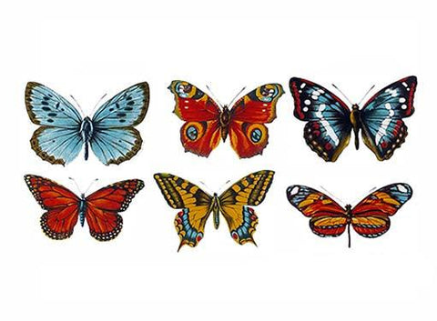 Butterflies Ceramic Decals  4187
