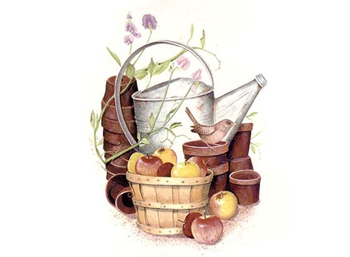 Garden Time Watering Pail Apples Overglaze Ceramic Decals