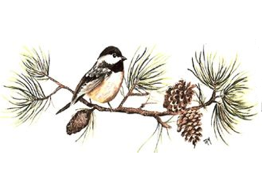Chickadee Pine Border Overglaze Ceramic Decals