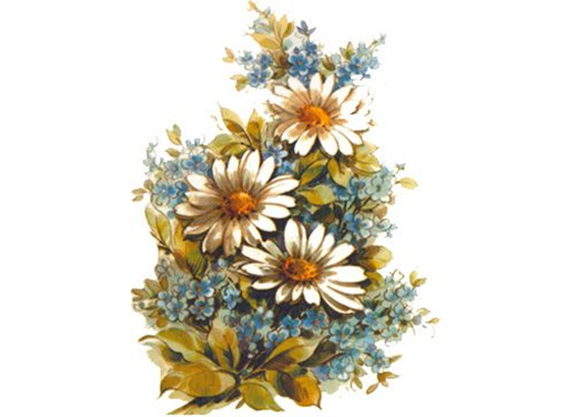 Flowers Daisy & Forget Me Not Overglaze Ceramic Decals