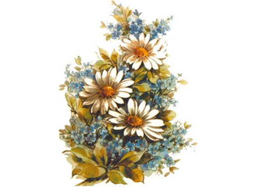 Flowers Daisy & Forget Me Not Ceramic Decals 9991