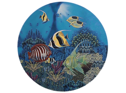 Fish Sea Tropical Ocean Ceramic Decals 10322