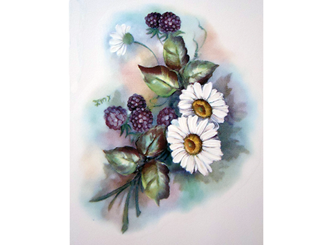 Blackberries and Daisy Flowers 11908B