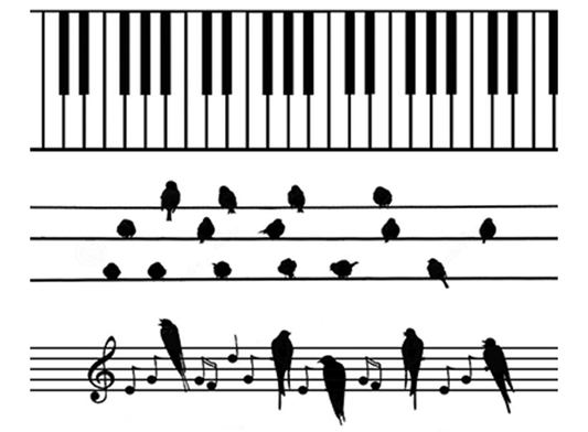 Barrette Birds Piano Keys 6 pcs 4 Inch Black Fused Glass Decals