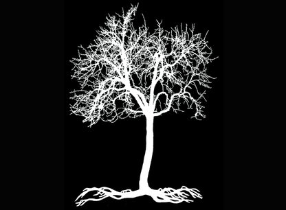 Tree Roots 2 pcs 4 Inch White Fused Glass Decals