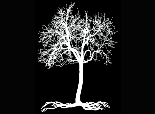 Tree Roots 2 pcs 4 Inch White Fused Glass Decals