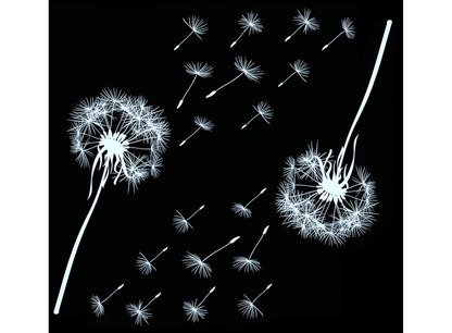 Dandelion 2 pcs 4 Inch White Fused Glass Decals