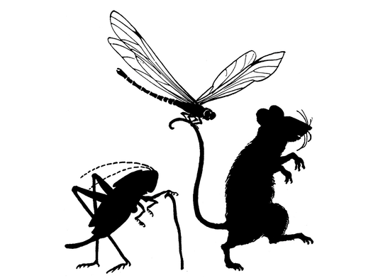 Mouse Dragonfly Cricket 2 pcs 3.25 Inch Black Fused Glass Decals
