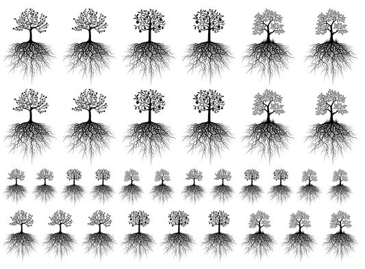 Rooted Tree Variety 33 pcs 0.75 to 1.25 Black Fused Glass Decals