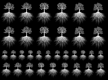 Rooted Tree Variety 33 pcs White Fused Glass Decals