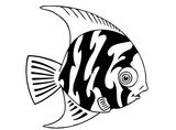 Fish Select 2 pcs Angel #1276 Disc #1275 or Fancy #1274  Large  Black Fused Glass Decals