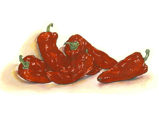 Chili Red Peppers Overglaze Ceramic Decals